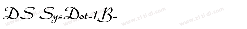 DS SysDot-1B字体转换